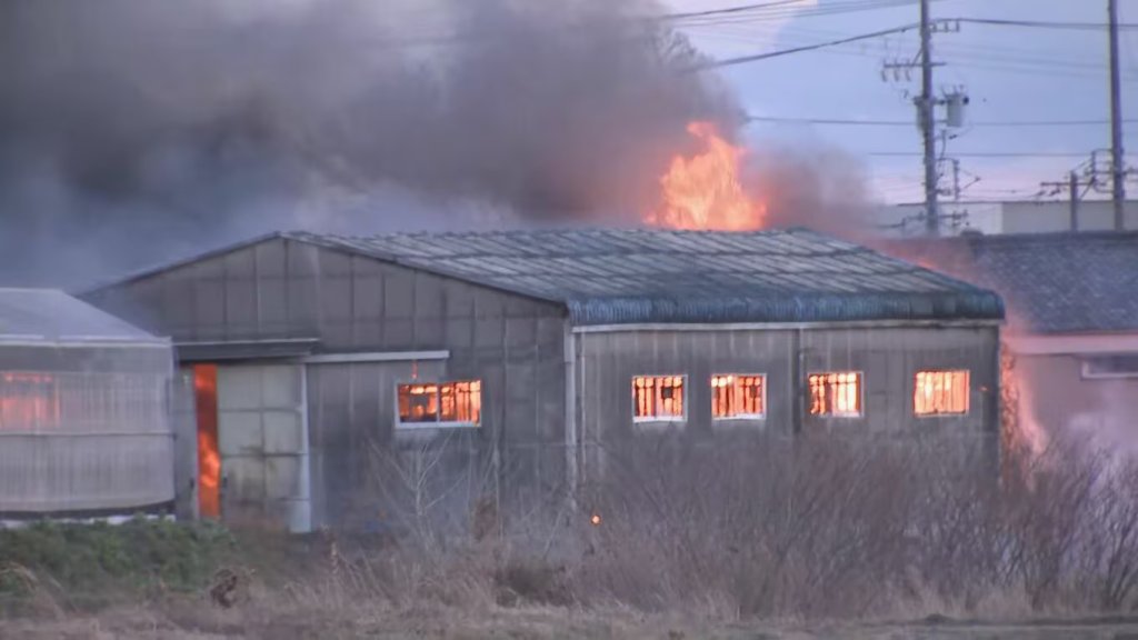 愛知三好市倉庫大火！園藝用品公司黑煙狂竄…大面積燃燒　消防布水線灌救