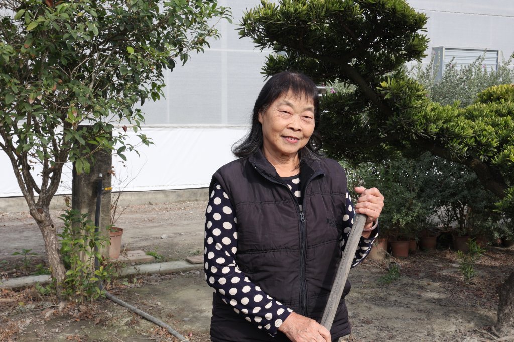 68歲園藝師婦人心臟衰竭-員榮、沙童醫師聯手治療二尖瓣閉鎖不全及心房顫動